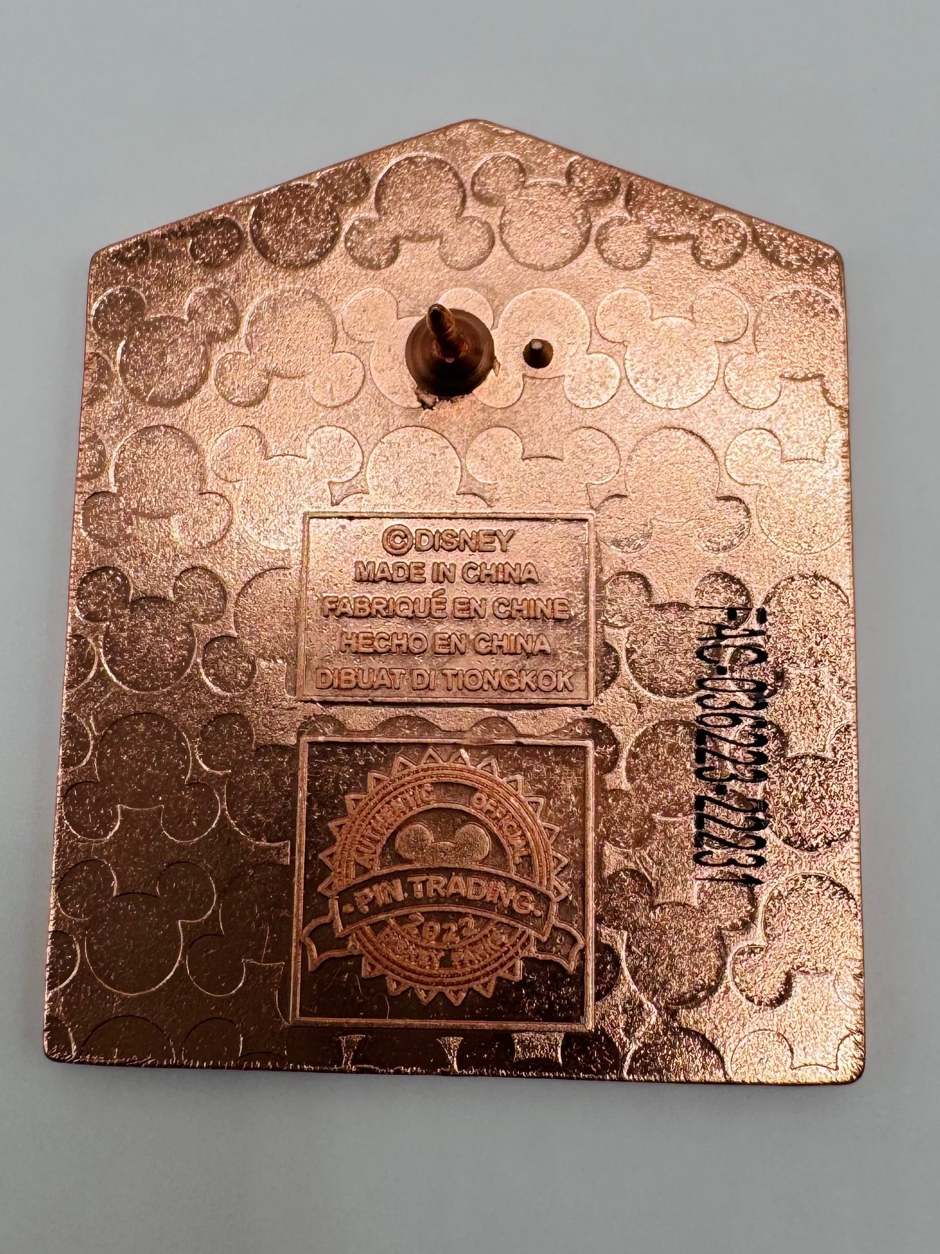 Beauty and the Beast Windows of Love (Mystery) Disney Trading Pin